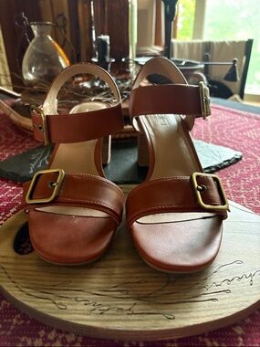 Loft Classic Brown Buckle Sandals - Women size 8